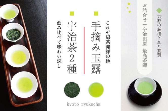 手摘み玉露と宇治茶2種のお詰合せ～宇治田原最高茶師～〈お茶 茶 煎茶 緑茶 茶葉 玉露 手摘み玉露 雁が音 茎茶 詰合せ 最高茶師 大臣賞 飲料 加工食品〉 