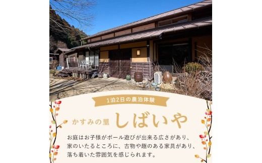 y啪sz_̌E݂̗ ΂ yA12H(yA`Pbg) ̌ ȟ `Pbg  h _ Ht 啪 syHD242zy{ 鉺z