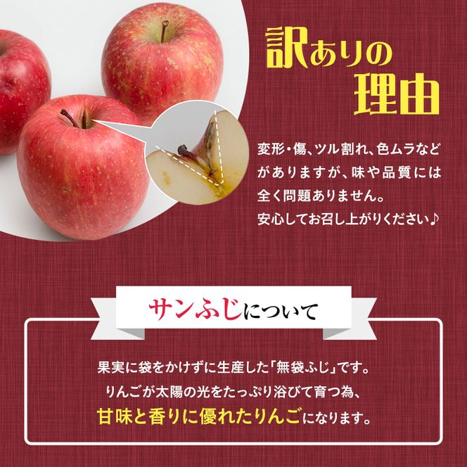 【訳あり】りんご 青森 サンふじ 約 10kg (28～36玉) リンゴ サイキチ農園 青森県 鰺ヶ沢町産 フルーツ 果物 不揃い 傷 林檎 サンフジ ふじ