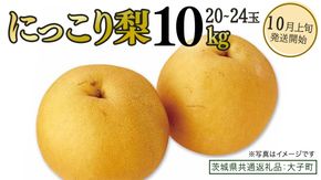 にっこり梨 約10kg (20～24玉)【2026年10月上旬発送開始】(茨城県共通返礼品：大子町) 梨 なし 果物 くだもの フルーツ にっこり
