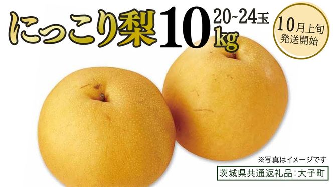にっこり梨 約10kg (20～24玉)【2026年10月上旬発送開始】(茨城県共通返礼品：大子町) 梨 なし 果物 くだもの フルーツ にっこり