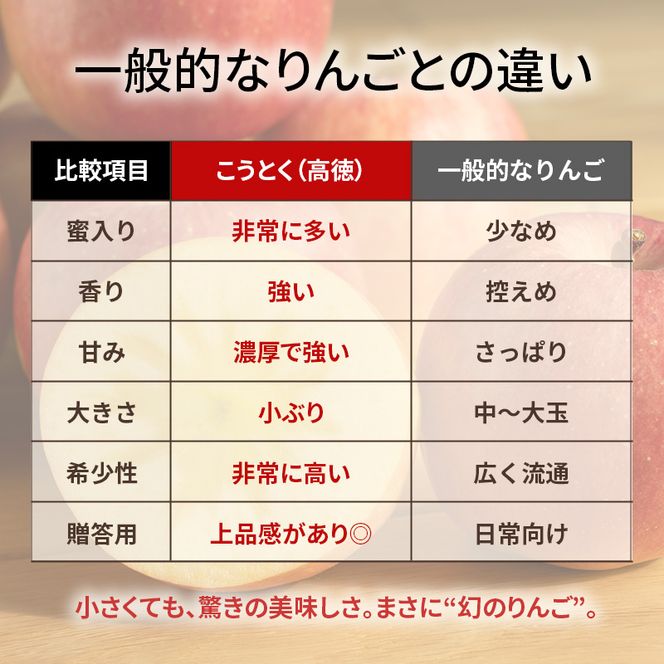★数量限定★ 幻のりんご こうとく (高徳) 3kg 蜜入り 希少 高級 果物 フルーツ 先行予約 宮城県 大河原町 リンゴ 林檎 くだもの 送料無料