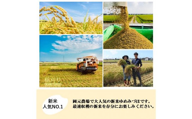 【令和8年産】【日本農業賞大賞】ゆめみづほ4.5kg精白米 能美市 お米 精米銘柄米 ご飯 おにぎり お弁当 和食粘りが少ない 精米したて 一等米 172111_AE009