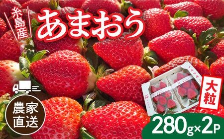 yszys\zy_ƒIzY܂ 280g×2pbN (DXGTCY) y2025N12ȍ~zs / 㓡_ [AML001] ܂  C`S  ʕ  t[c