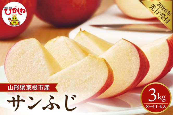 【2026年産先行予約】 太陽の恵みをいっぱいに浴びたりんご「サンふじ」 約3kg (8～11玉入) 山形県 東根市　hi026-061