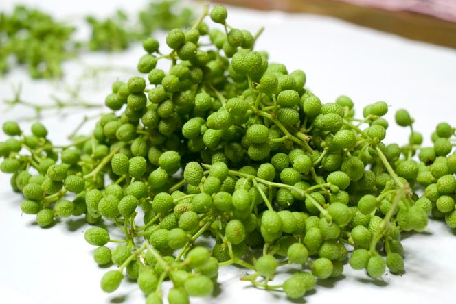 C6029n_まるとも海産【冷蔵】茹でたて 釜揚げしらす 400g (200g×2) ちりめん山椒 400g (200g×2) セット 紀州湯浅湾 直送！