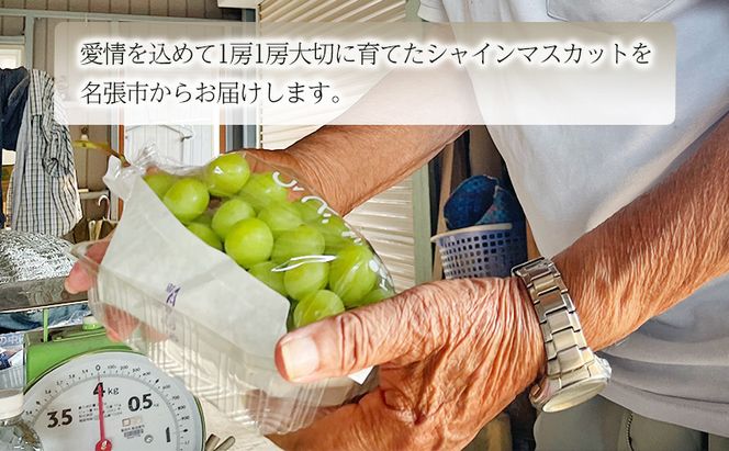 数量限定！　三重県名張産シャインマスカット　フルーツ　果物　シャインマスカット　大房