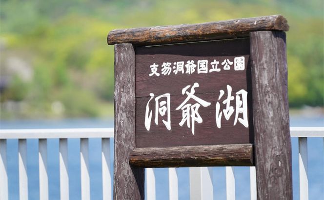 洞爺湖マラソンに参加して大会を応援！ エントリー権 (1人)