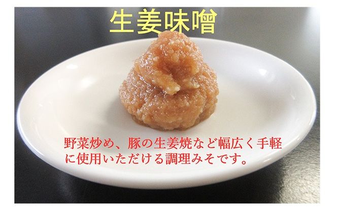 しょうが味噌（100g×10パック）