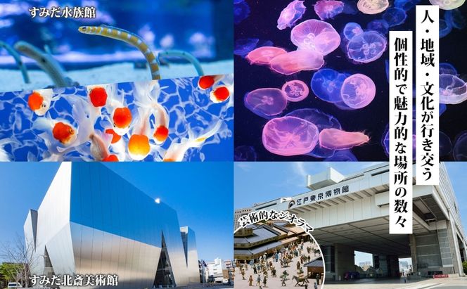 【東京ツアー】墨田区 旅行クーポン 後から選べる旅行Webカタログで使える！旅行クーポン（300,000円分）粋をめぐる、すみだ旅！ 旅行券 宿泊券 飲食券 体験サービス券