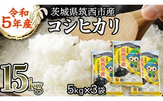 茨城県 筑西市産 コシヒカリ 15kg （ 5kg × 3袋 ） 三ツ星 マイスター 米 コメ こしひかり 単一米 精米 [CH013ci]