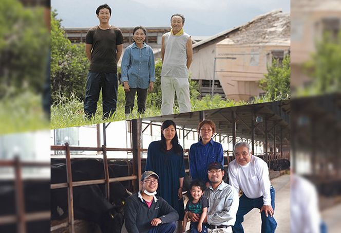 990.【和牛セレブ（鳥取和牛定期便：6回）】レギュラークラス《検索用ワード:牛肉 すき焼き ステーキ しゃぶしゃぶ 焼き肉 焼肉》 313726_BM023