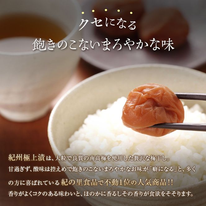 つぶれ梅 2種セット 極上漬＆はちみつ梅 300g×2 ［Kn13］ 303446_CQ013