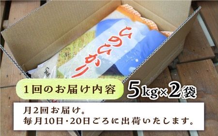 【月2回お届け】【全12回定期便】糸島産 ひのひかり 10kg 6ヶ月コース 糸島市 / 三島商店 [AIM033] 米 白米