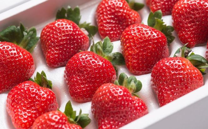 【2025年12月上旬より順次発送】福岡産 あまおう ギフト箱（24-30粒） 《築上町》【南国フルーツ株式会社】果物 苺 いちご[ABET004]