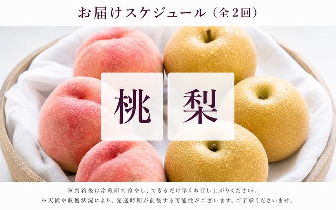 【全2回】かつらぎ町のフルーツ定期便（桃・梨）【7月・8月】 【tkb425】