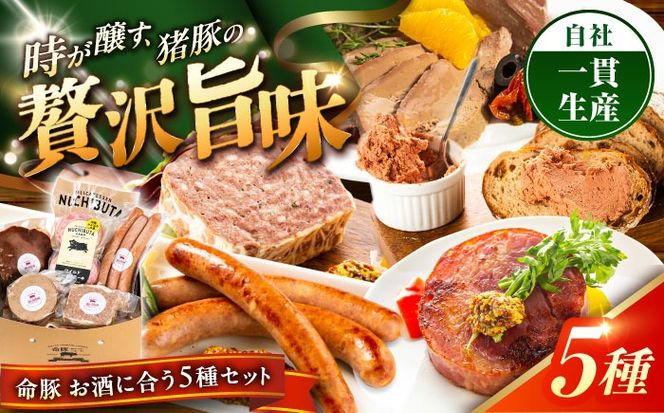 『お酒に合うセット』 豚肉 ポークステーキ ソーセージ レバーパテ レバーペースト スモークレバー 詰め合わせ お取り寄せ 国産 ギフト 冷凍 沖縄市 / DELICATESSEN NUCHIBUTA [BCAR009]