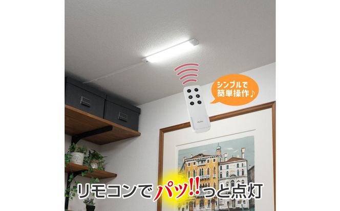 LED多目的灯 リモコン30cm 昼光色ALT-3030RE(D) 272183_AZ249