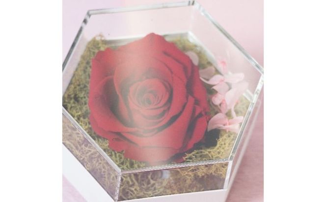 フラワーアレンジメント プリザーブドフラワーアレンジメント「ダーククリムゾン」 インテリア 手づくり  プリザーブドフラワー プレゼント 玄関 ベッドサイド 食卓  墨田区 東京都