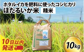 【訳あり】ほたるいか米（精米10kg）【通年発送】