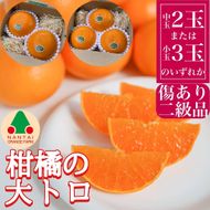 お試し規格 柑橘の大トロ ハウス せとか ちょっと 傷あり 2玉 または 3玉入 手さげ箱 南泰園 和歌山 有田 BS197