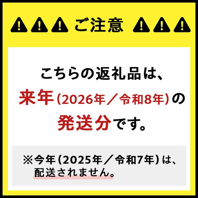 【来年（2026年/令和8年）発送＜先行予約＞】定期便 シャインマスカット 2房 約1.3㎏×3回 先行予約 先行 予約 山梨県産 国産 産地直送 人気 おすすめ 贈答 ギフト お取り寄せ フルーツ 果物 くだもの ぶどう ブドウ 葡萄 シャイン シャインマスカット 新鮮 甘い 皮ごと 山梨 甲斐市 AD-248