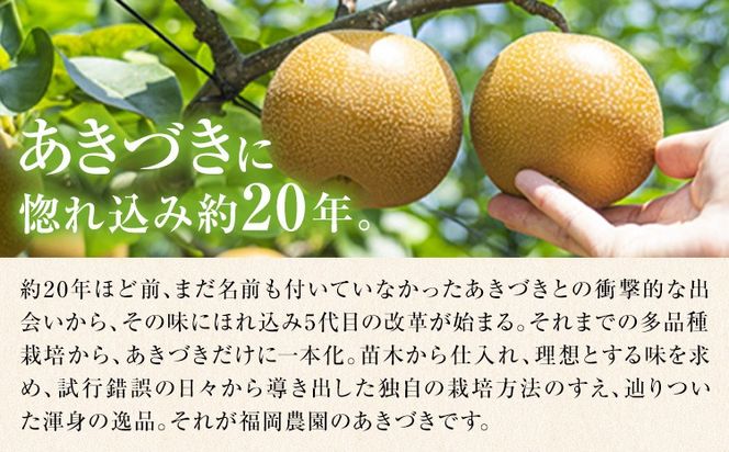 梨 あきづき 福岡農園 こだわりの梨 あきづき 約5kg 《9月上旬-9月下旬頃出荷予定》熊本県 氷川町 ナシ 秋 旬 熊本 フルーツ お取り寄せ 無袋栽培 送料無料 旬の梨 フルーツ梨 あきづき 約5kg nashi あきづき 旬---hkw_lcl_327_5kg---