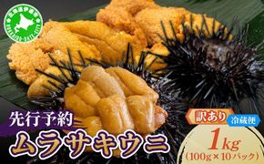 ＜先行予約＞ 北海道産 ムラサキウニ（訳あり）1kg【ogm-048】生うに 塩水うに ミョウバン不使用 海鮮 訳あり 国産 北海道 伊達 ふるさと納税
