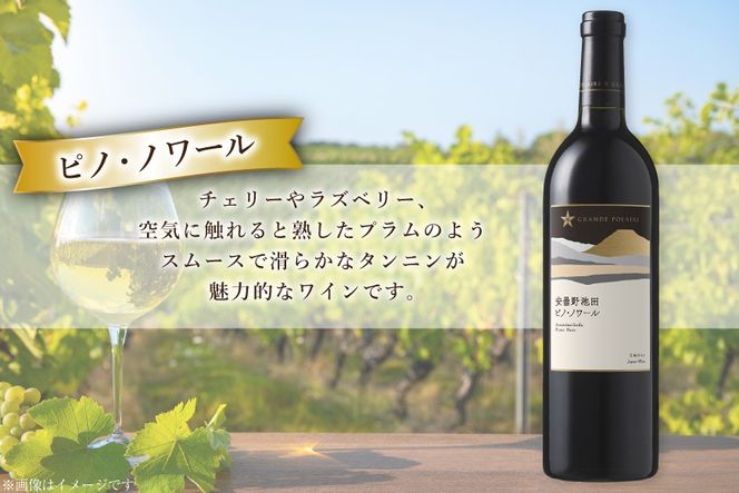 赤ワイン セット サッポログランポレール 安曇野池田ヴィンヤードワイン 赤2種セット 750ml 計2本 [ナチュラルマルシェ ソヨソヨ 長野県 池田町 48110928] 酒 お酒 アルコール 赤 赤ワイン 国産 あるこーる ぶどう 特別 フルボディ ミディアムボディ 料理 セット