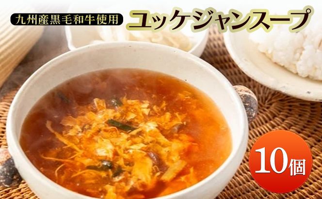 スープ ユッケジャンスープ×10個