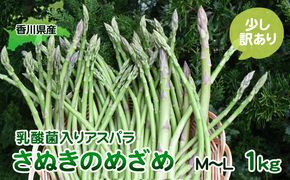令和8年産　はなまる農園の乳酸菌入りアスパラ「さぬきのめざめ」少し訳あり 1kg（M～L） 野菜セット 野菜 アスパラガス 