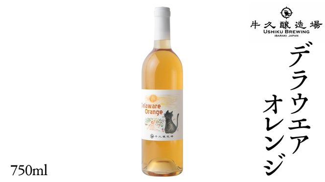 デラウエアオレンジ Delaware Orange 750ml×1 茨城県産 牛久醸造場 日本ワイン ワイン お酒 贈り物 上品 果実 クリスマス 誕生日 オレンジワイン 辛口 デラウェア ライトボディ