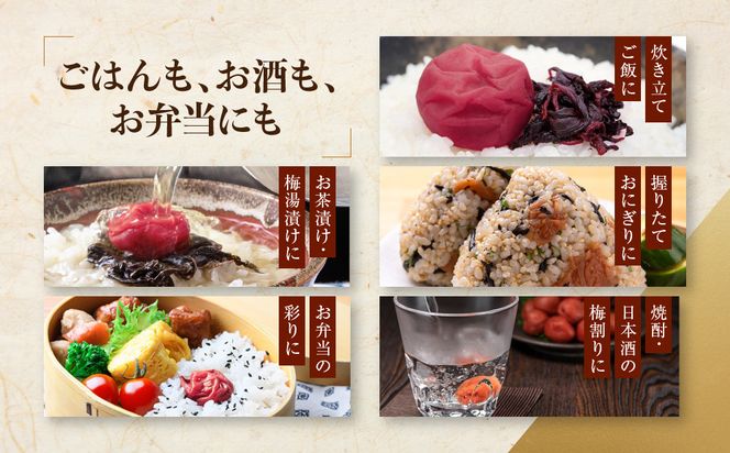 紀州南高梅 しそ 塩分約15％ 400g ［YM5］ 303446_DX90008