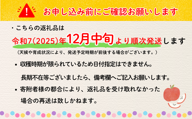 【先行予約】サンふじ 小玉 約3kg （10〜14玉）（2025年12月中旬から発送）りんご サンふじ 限定 直送 小玉 好評 (7-A42-1)