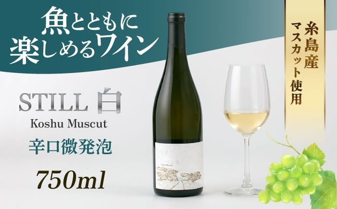 yszy}XGCizSTILL  Koshu Muscut 1{ s / Ƃ̂Ƃ[AEP001] C Y C h A  }XJbg bB   Ci[