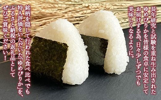 【3ヶ月定期配送】（無洗米600g）ホクレンゆめぴりか 