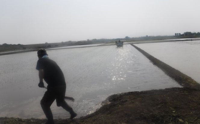 定期便 3回 米 5kg 季節野菜 セット 精米 ゆめつくし お米 詰合せ 上白米 低温保存米 お野菜セット 