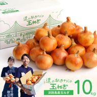 道の駅あわじの玉ねぎ10kg箱