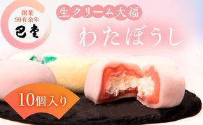 巴堂のわたぼうし（大福　10個） 和菓子 和スイーツ スイーツ お菓子 おやつ お茶うけ お茶のお供 生クリーム大福 生菓子 和生菓子 