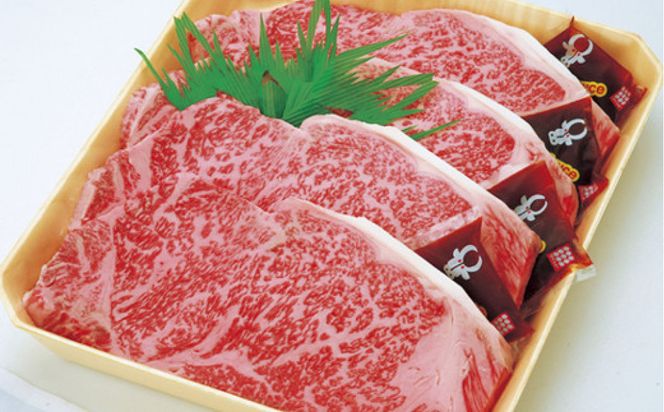 藤増 しまね和牛ロース スライス・ステーキセット A【冷蔵】 322032_DS019