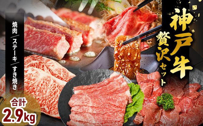 神戸牛 福袋 帝神 おまかせコース F  サーロインステーキ 肩スライス 牛カルビ ももステーキ もも焼肉 バラ肉 すじ肉