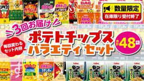 【 スナック菓子 3ヶ月 定期便 】 カルビー 湖池屋 人気 48袋 詰め合わせ バラエティ セット スナック ポテトチップス ポテチ ポテトチップ 菓子 お菓子 おかし おやつ おつまみ 大量 BIGBAG 堅あげポテト のりしお うすしお ブラックペッパー 頒布会 ジャガイモ じゃがいも まとめ買い [DA018us]