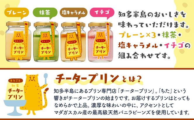 チータープリン 6 個 セット ( プレーン × 3 抹茶 塩 キャラメル フルーツ ) 冷蔵 プリン 子供向け スイーツ デザート ギフト お土産  贈答用 お歳暮 まるごと知多チータプリン 愛知県 南知多町 【配送不可地域：離島・北海道・沖縄県・東北・中国・四国・九州】