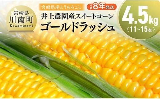 [令和8年発送]宮崎県産とうもろこし 井上農園産スイートコーン(ゴールドラッシュ)4.5kg [ トウモロコシ スィートコーン 2026年発送 先行予約 数量限定 期間限定 ] [C03901]