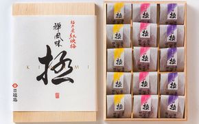 禅風味3種 梅干／ウメボシ／紅映梅 うめぼし 