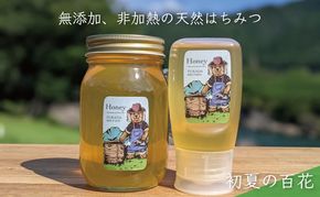 合計900g 天然蜂蜜 国産蜂蜜 非加熱 生はちみつ 岐阜県 美濃市産 初夏 (蜂蜜600g入りガラス瓶1本、蜂蜜300g入りピタッとボトル1本のセット)B15 深田養蜂のハチミツ