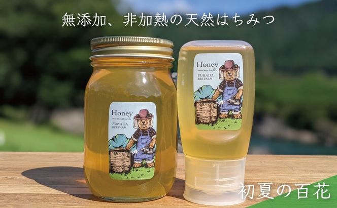 合計900g 天然蜂蜜 国産蜂蜜 非加熱 生はちみつ 岐阜県 美濃市産 初夏 (蜂蜜600g入りガラス瓶1本、蜂蜜300g入りピタッとボトル1本のセット)B15 深田養蜂のハチミツ
