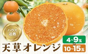 ハウス追熟 天草オレンジ 選べる内容量 4玉～9玉入 10玉～15玉入 廣畠農園《1月中旬頃出荷予定》徳島県 佐那河内村 みかん ミカン 蜜柑 柑橘 フルーツ 果物 くだもの【配送不可地域あり】※離島---sanagouchi_hhn_5_1hk---