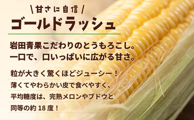 【先行予約 2026年6月中旬以降発送 】【 令和8年産 】【 訳あり 】 深夜採り 朝出荷 とうもろこし （ ゴールドラッシュ ） 約 6kg トウモロコシ スイートコーン コーン 野菜 産地直送 期間限定 岩田さん 昼めし旅 [AX021ya]