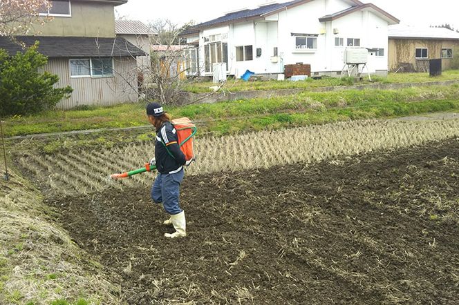 《定期便4ヶ月》＜令和7年産＞あきたこまち 精米 5kg 秋田県 男鹿市産 吉元耕業 おにぎり お弁当|23_ymk-010104